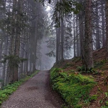 아파트 Bergmomente Montafon
